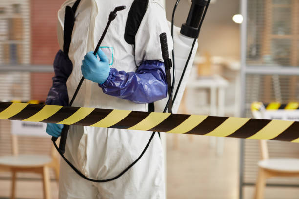 Professional Trauma Scene Cleanup technician working in Hye, TX